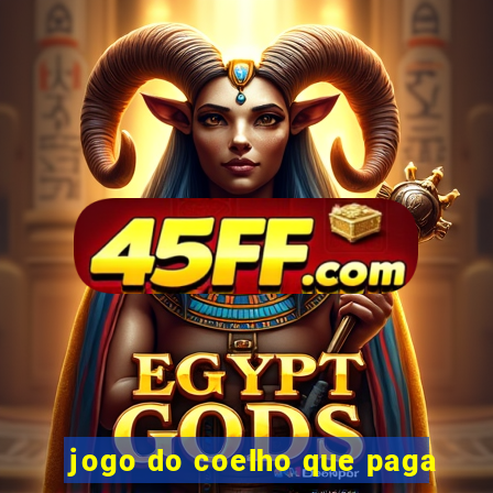 jogo do coelho que paga